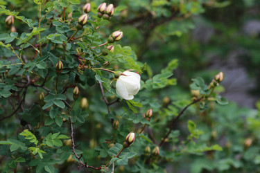 Similar image 20052922