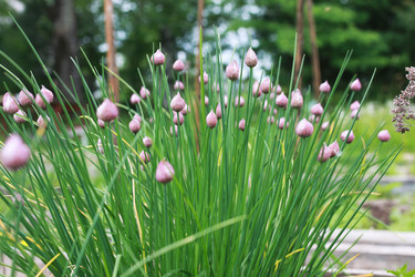 Similar image 20052924