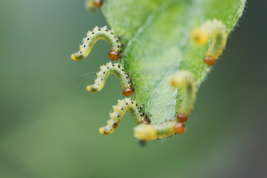 Similar image 20052925