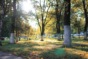 Similar image 20052929