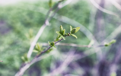 Similar image 20052930