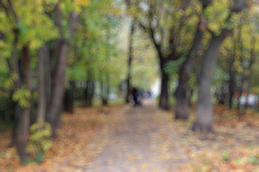 Similar image 20052932