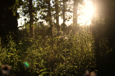 Similar image 20052934