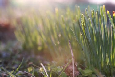 Similar image 20052935