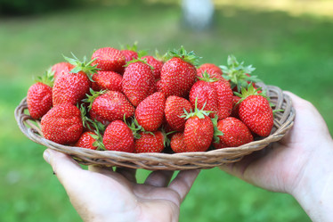 Similar image 20052936