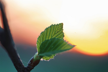 Similar image 20052938