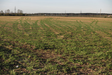 Similar image 20052945