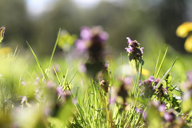 Similar image 20052976