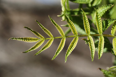 Similar image 20052977