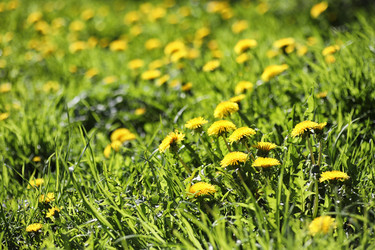 Similar image 20052978