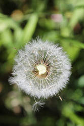 Similar image 20052979