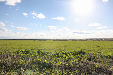 Similar image 20052986