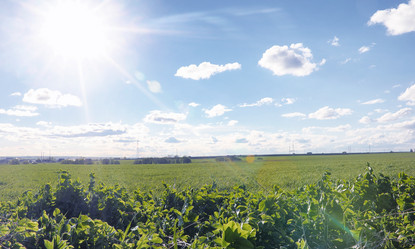 Similar image 20052989