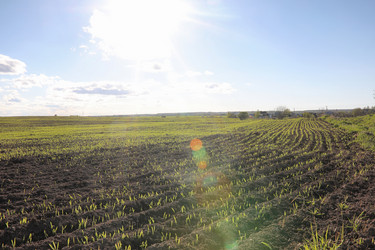 Similar image 20052990