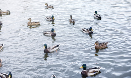 Similar image 20053011