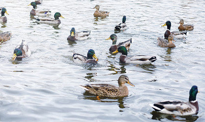 Similar image 20053012