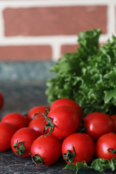 Similar image 20053017