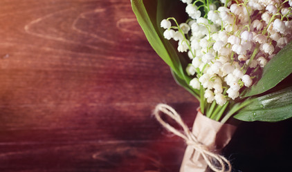 Similar image 20053019