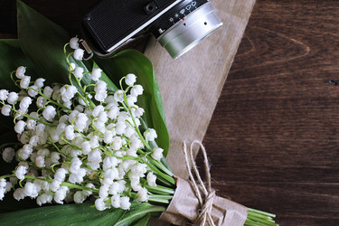 Similar image 20053021