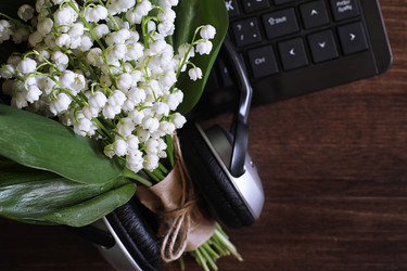 Similar image 20053023