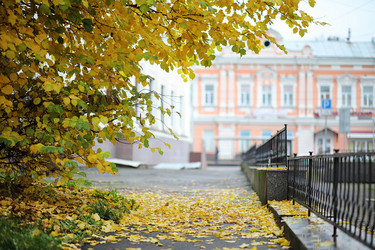 Similar image 20053033