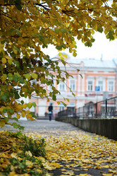 Similar image 20053035