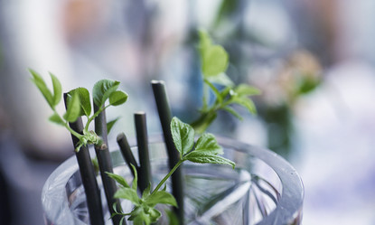 Similar image 20053047