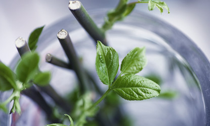 Similar image 20053057