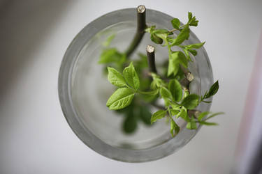 Similar image 20053058