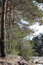 Similar image 20053075