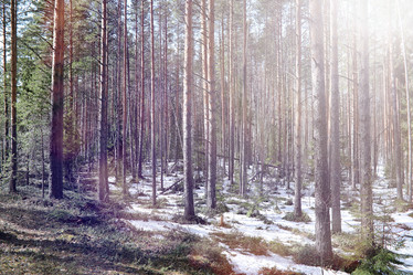 Similar image 20053077