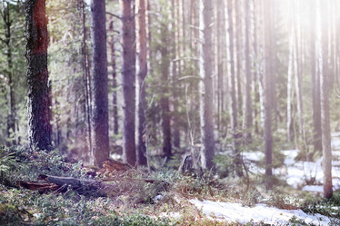 Similar image 20053097