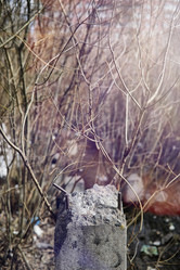 Similar image 20053100