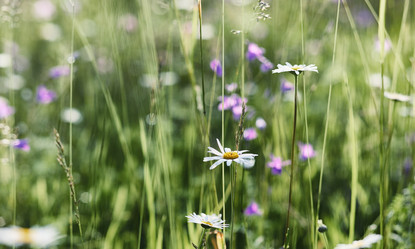 Similar image 20053117