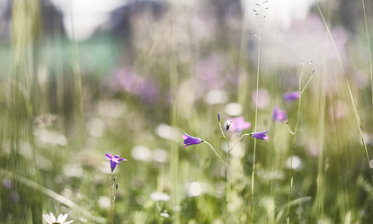 Similar image 20053118