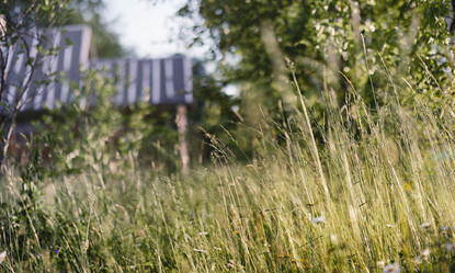 Similar image 20053120