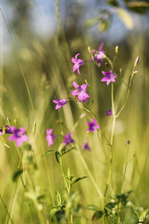 Similar image 20053121