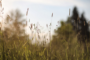 Similar image 20053122