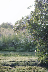 Similar image 20053126