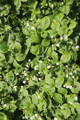 Similar image 20053127