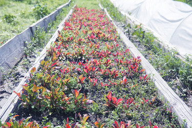 Similar image 20053128