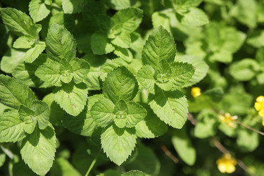 Similar image 20053131