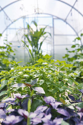 Similar image 20053134