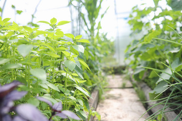 Similar image 20053136