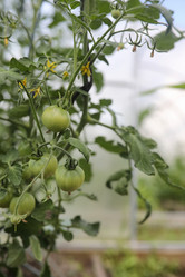 Similar image 20053140