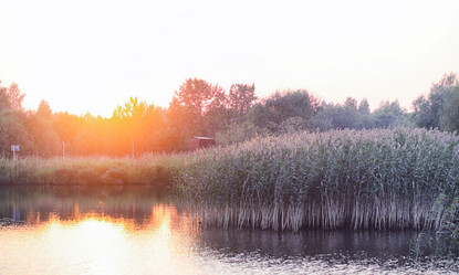 Similar image 20053154