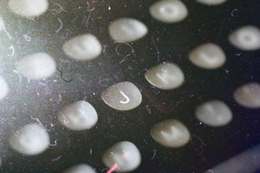 Similar image 20053165