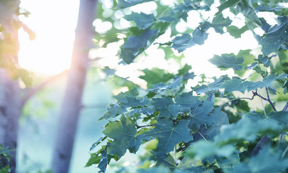 Similar image 20053184