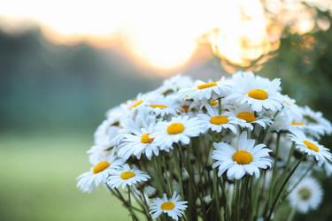 Similar image 20053195