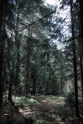 Similar image 20053302